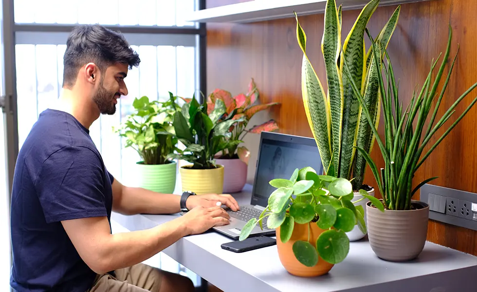 Plants Make The Best Co-worker, plants with health benefits, productivity benefits from plants, plants for office, air purifing plants, how to for care plants, decorative planters, indoor planters, lotus planters, self watering planters, ceramic finish planters, designer pots, FRP planters, FRP indoor pots, designer pot, FRP planter, designer pots for plants, designer planter pots, pots for indoor plants online, designer pots for indoor plants, ceramic designer pots, best pot design, FRP planters manufacturers, frp rectangular planter, FRP planters online India, designer hanging pots, designer garden pots, designer pots for outdoor plants, designer planters outdoor, large plastic pots, plastic pots, plastic pots for plants, plastic pots wholesale, plastic pots garden, large pots for outdoor plants, plastic pots hanging, plastic pots design, ceramic planters, standard planters, style indoor planters, beautiful indoor plant pots, round copper planter, rectangular wooden planter, hanging planters for wall, Pearl planter, cono planter, bowl planter, harshdeep, pot manufacturers, pot wholesalers, flower pots, table planters, balcony planters, affordable pots, buy pots online, best pot manufacturers
