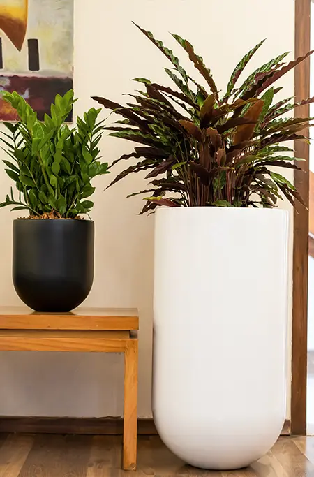 Oswald Planter, indoor pots, large indoor pots for plants, flower pots and planters, big pots for plants, decorative indoor flower pots