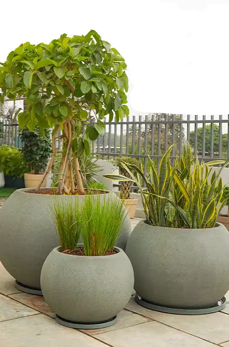 Globus planter, outdoor planters, round plastic pots for plants, plastic outdoor plant pots, Large round pots, light weight garden pots