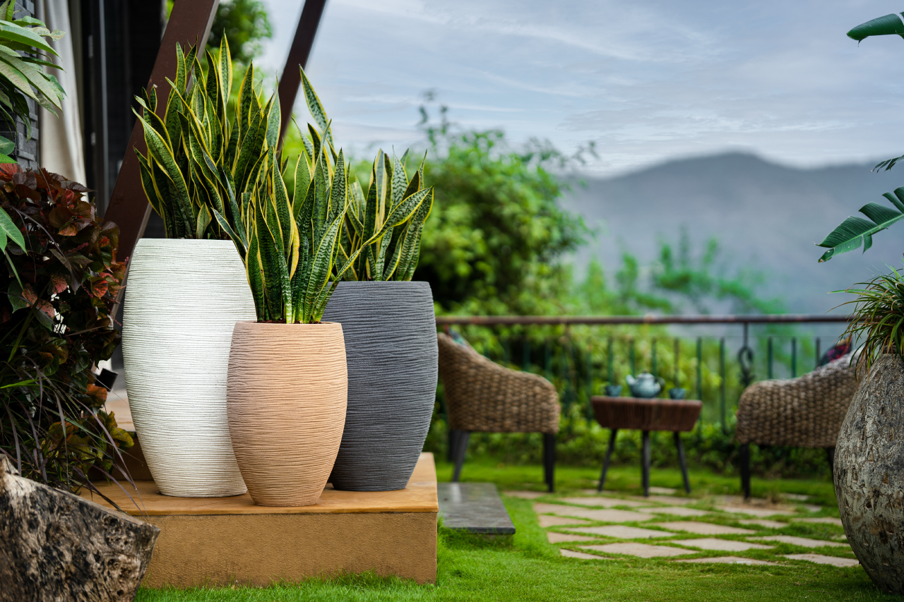 large outdoor pots, pots for outdoor plants, large outdoor pots for plants, garden outdoor pots, large flower pots planters, plant pots & planters, decorative pots, big pots for outdoor plants, garden pots, plastic garden pots, outdoor pots for flowers, ideas for outdoor pots & plants, outdoor pots online, Harshdeep India