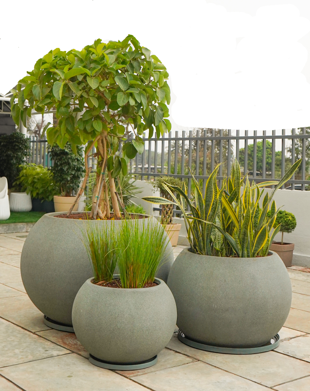 large outdoor pots, pots for outdoor plants, large outdoor pots for plants, garden outdoor pots, large flower pots planters, plant pots & planters, decorative pots, big pots for outdoor plants, garden pots, plastic garden pots, outdoor pots for flowers, ideas for outdoor pots & plants, outdoor pots online, Harshdeep India