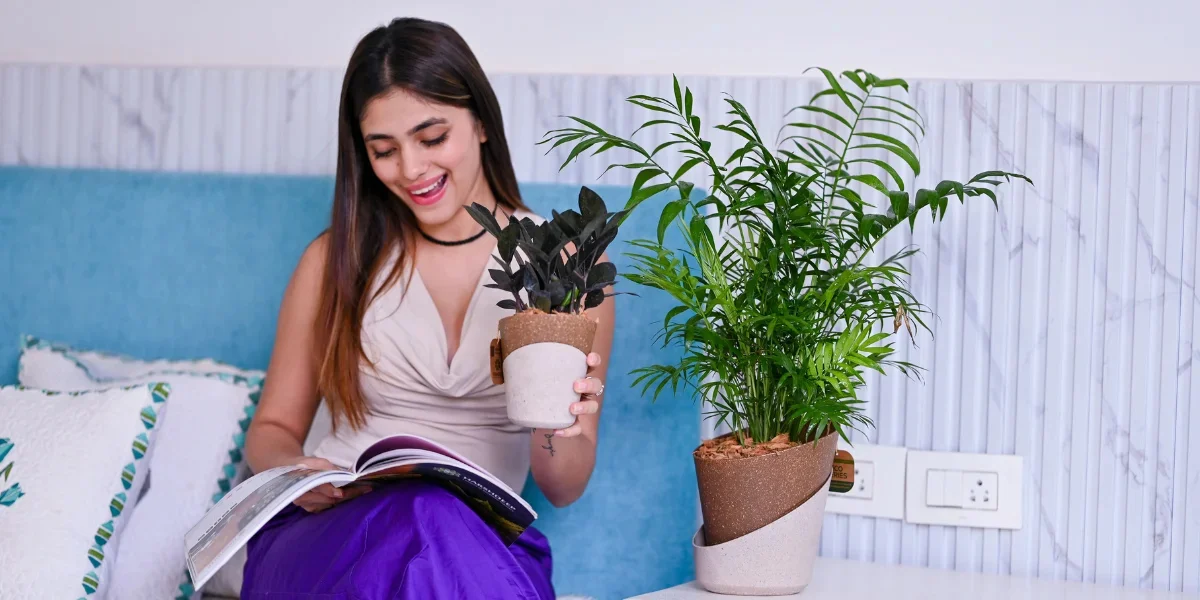 Plant Pots Made from Recycled Materials, Importance of Eco Friendly Products, Plant Pots With Waste Material, Eco Friendly Pots for Plants, Harshdeep India, pots for plants, waste material plant pot, eco-friendly pots for plants, pots for plants. Eco Friendly Planters, Eco friendly plant pots