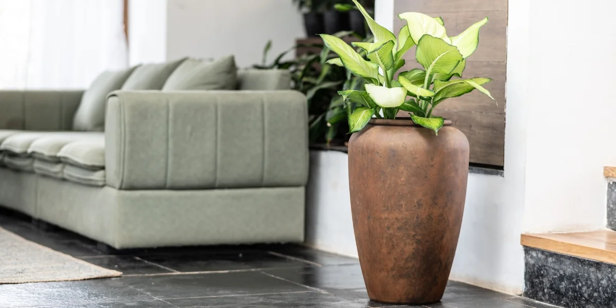 Large Planters For Living Room Decor, Large Planters, Planters For Home Decor, Decorative Flower Pots For Living Room, Indoor Planters Pots, Home Decor Plants, Harshdeep India