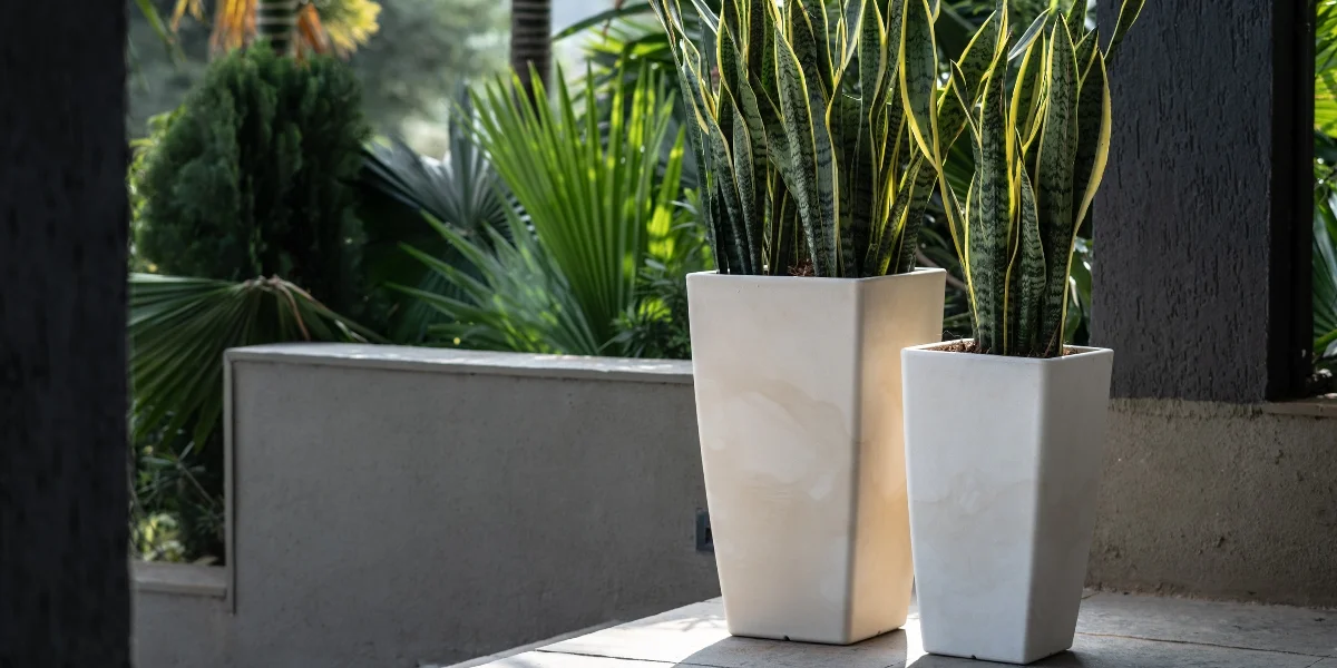 Large Planters For Living Room Decor, Large Planters, Planters For Home Decor, Decorative Flower Pots For Living Room, Indoor Planters Pots, Home Decor Plants, Harshdeep India