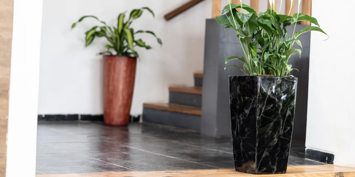Large Planters For Living Room Decor, Large Planters, Planters For Home Decor, Decorative Flower Pots For Living Room, Indoor Planters Pots, Home Decor Plants, Harshdeep India