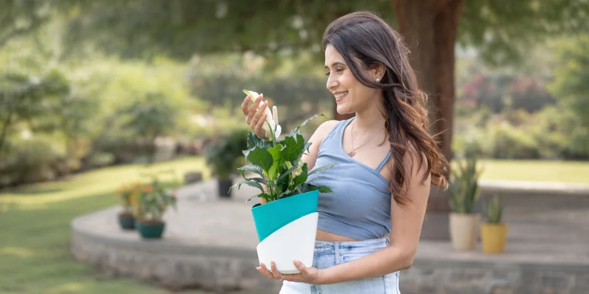 Large Planters For Living Room Decor, Large Planters, Planters For Home Decor, Decorative Flower Pots For Living Room, Indoor Planters Pots, Home Decor Plants, Harshdeep India