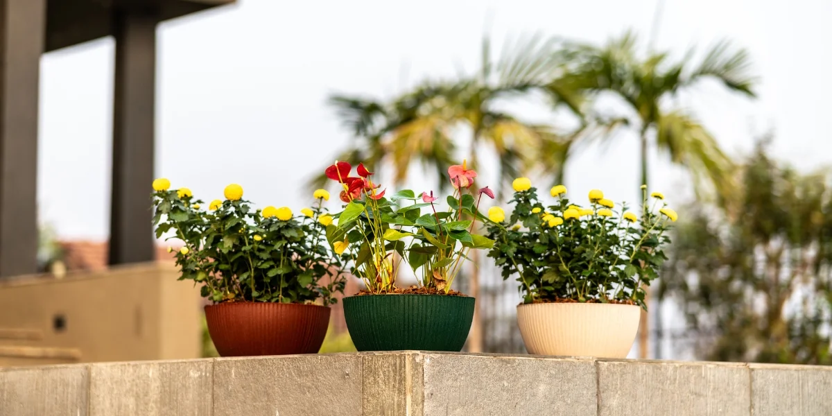 What Is Eco Planter, Eco Friendly Planter, Plant Pots, Eco Planter Design, Sustainable Planters, Sustainable Practices, Decorative Indoor Planters, Harshdeep India